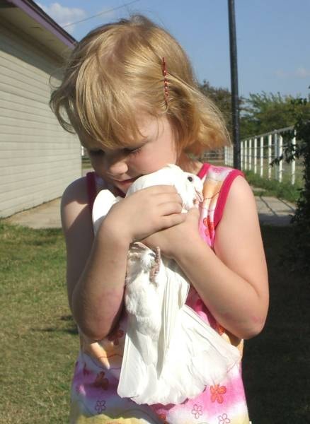 Guest gently cuddling a white dove at a Doves 4 Yall event in the Dallas–Fort Worth Metroplex