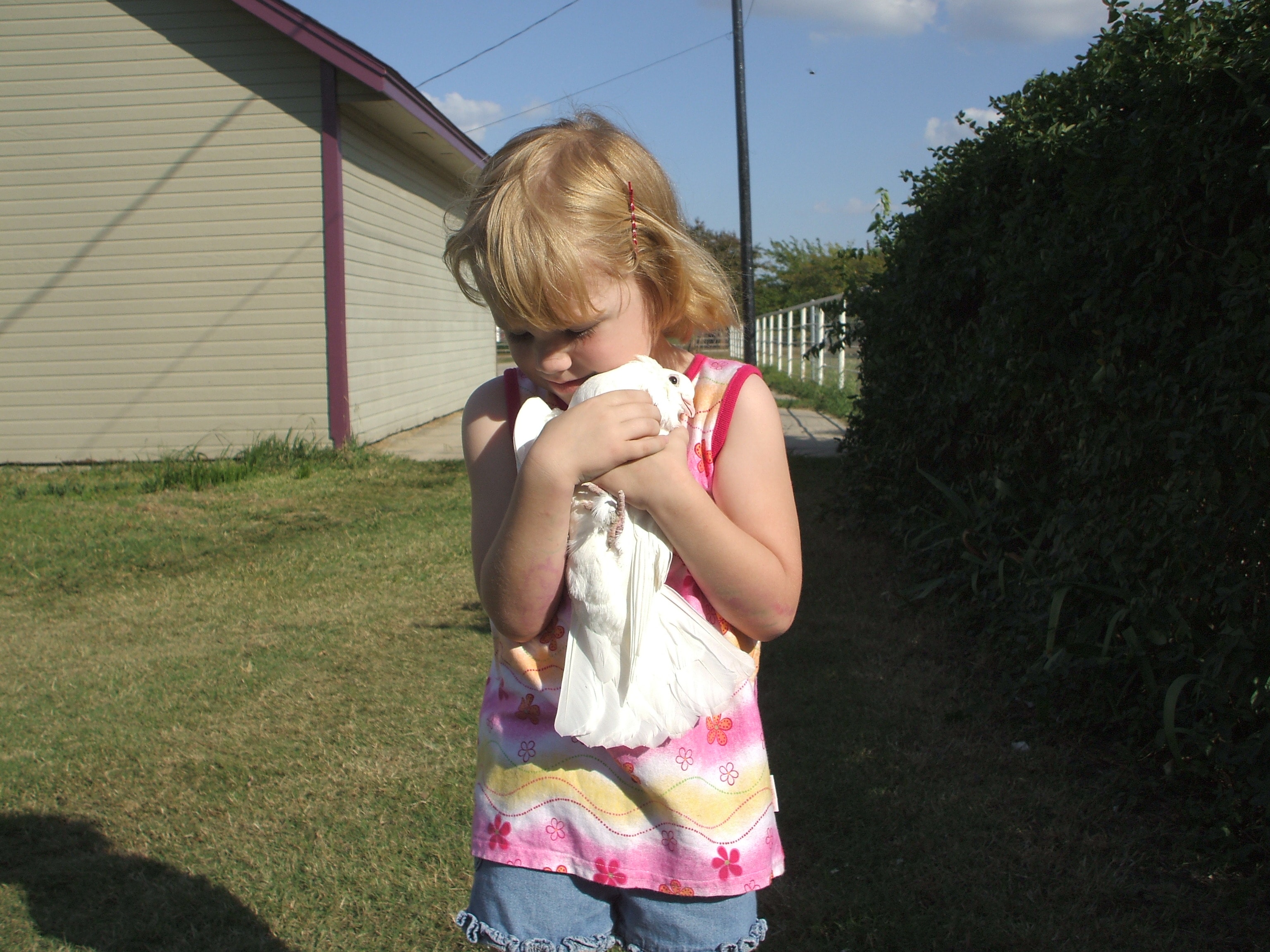 Child cuddling a trained white dove at a Doves 4 Yall ceremony in DFW