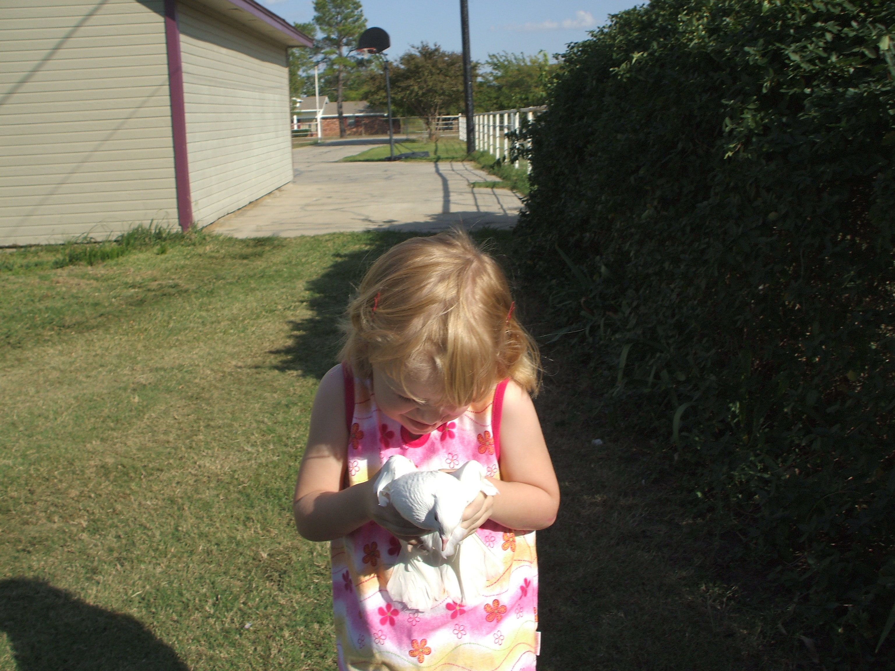 Child holding a white homing dove at a Doves 4 Yall ceremony in the Dallas–Fort Worth area