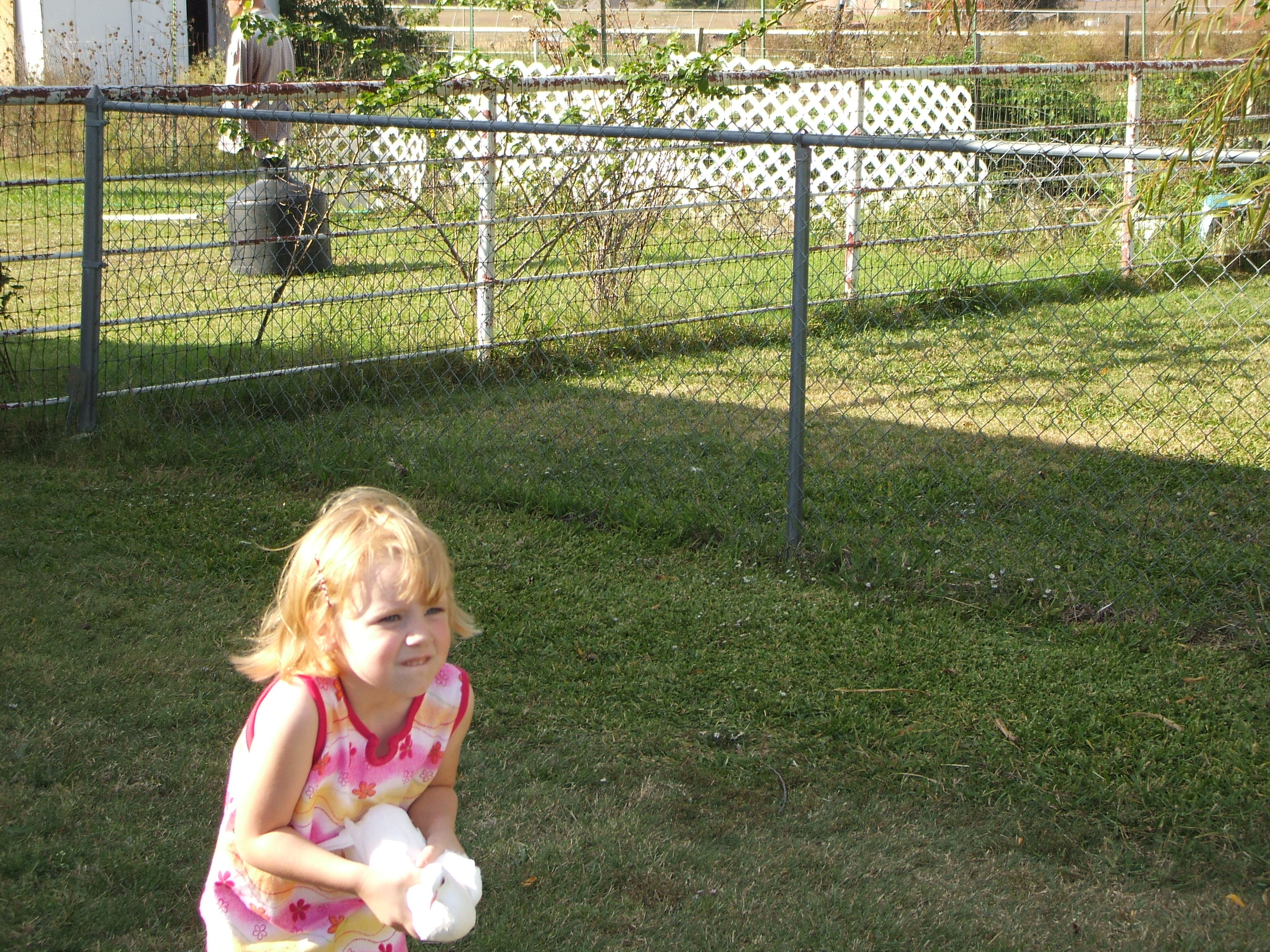 Child with a white dove at a Doves 4 Yall outdoor ceremony in DFW