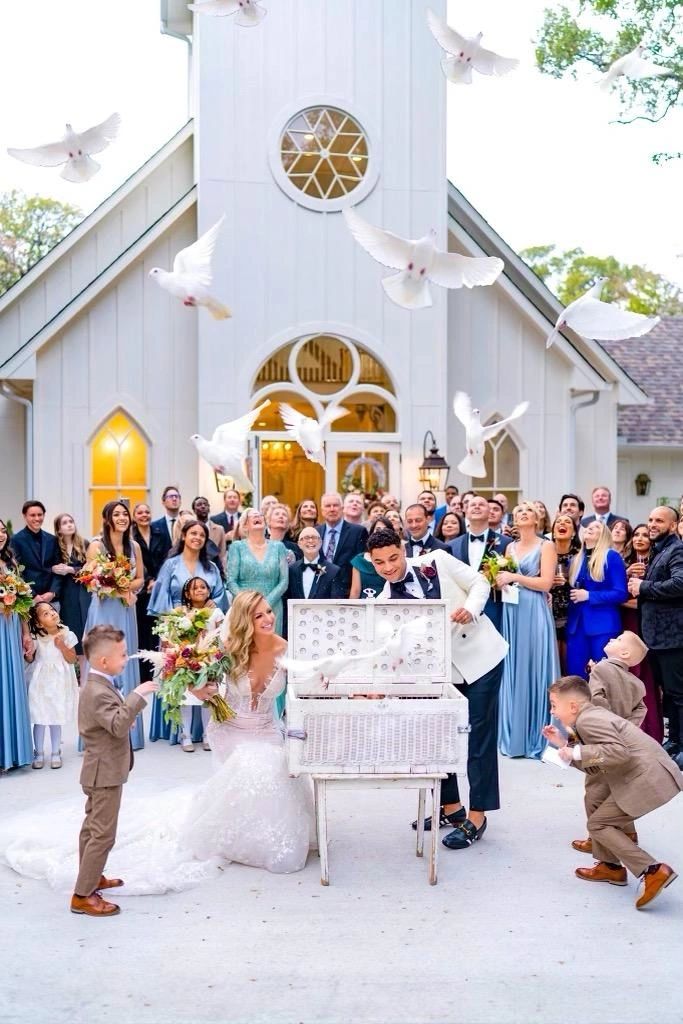 Dove release at a wedding at a French farm