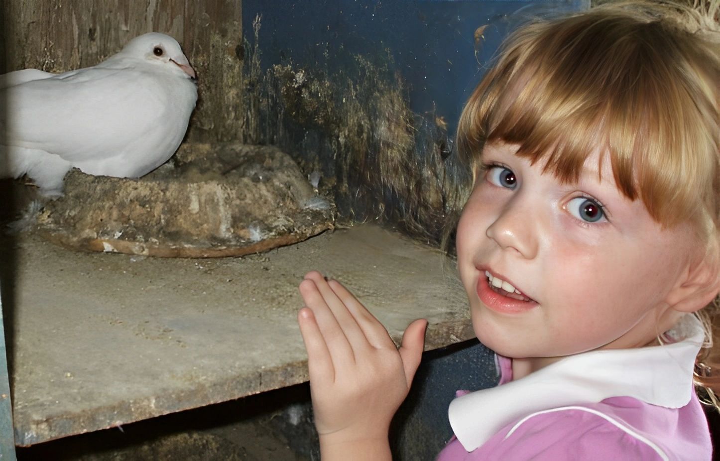 Dove release ceremony